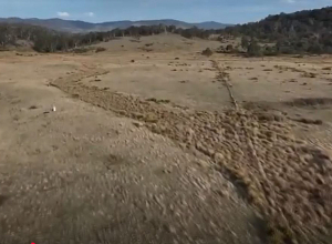 Միլիարդատիրոջ կինը գնում է հողեր՝ կենսաբազմազանությունը վերականգնելու համար