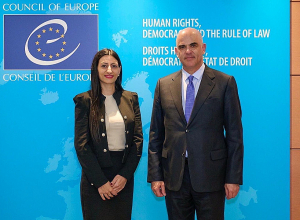 ՄԻՊ-ը հանդիպում է ունեցել Եվրոպայի խորհրդի գլխավոր քարտուղար Ալեն Բերսեի հետ