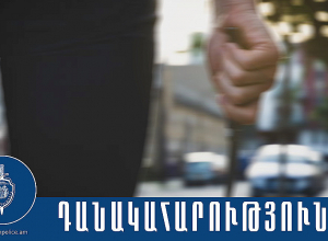Տղամարդը փորձել էր հրկիզել տնակն ու դանակահարվել էր քրոջ կողմից