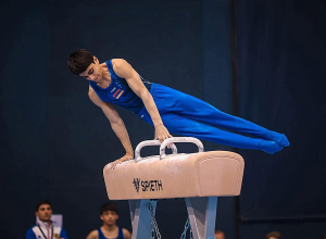 Համլետ Մանուկյանը` աշխարհի գավաթի 5-րդ փուլի հաղթող