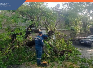 Ծառն արմատախիլ էր եղել և փակել ավտոճանապարհը