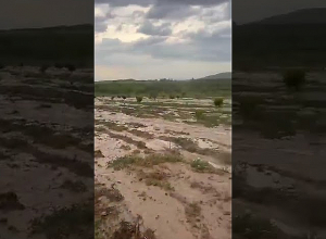 Արարատի մարզում նման սելավ առաջին անգամ եմ տեսնում․ Սուրենյան