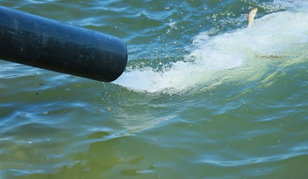 499702973_1031801372474565_4041236653347163669_n