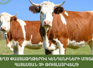 Գոգավանի սահմանային անցակետում հայտնաբերվել և կասեցվել է անհայտ ծագման կենդանի կենդանիների մուտքը Հայաստան