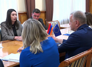 Քննարկվել են ԵՄ վիզաների ազատականացման գործընթացի շրջանակում իրականացվող աշխատանքները