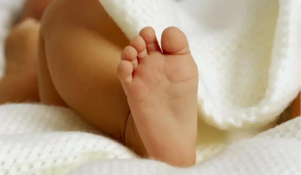 00zeu9qd3t0inhwi3giw4994qdil5sw7