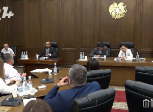 «Դուք չունեք խոսալու տեղ».«Մանկապարտեզում կողքի աղջկա մազն եմ քաշել, չասեք՝զրկումա հարցի իրավունքից»