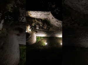 Բջնիի ամրոցը ծառերի շրջափակումից ազատված եւ լուսավորված