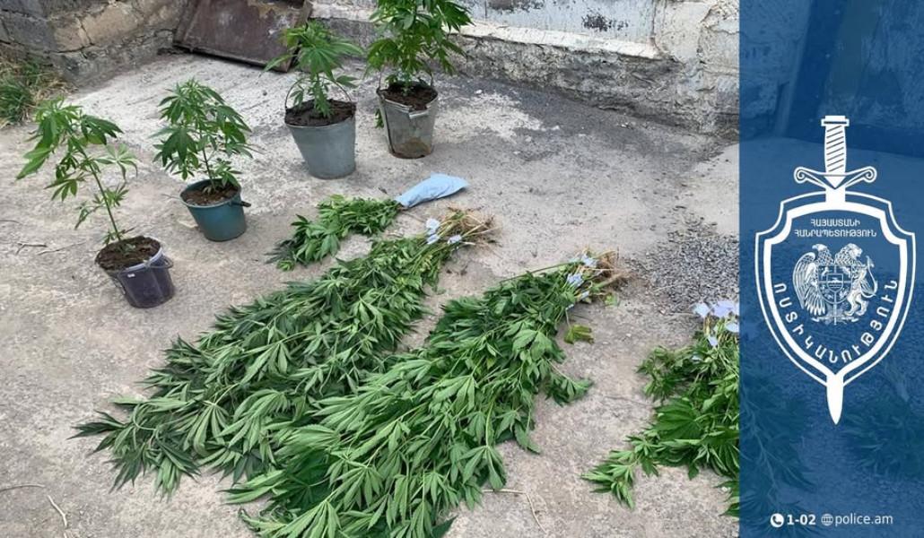 493927842_1091576022995749_3301959125751368635_n