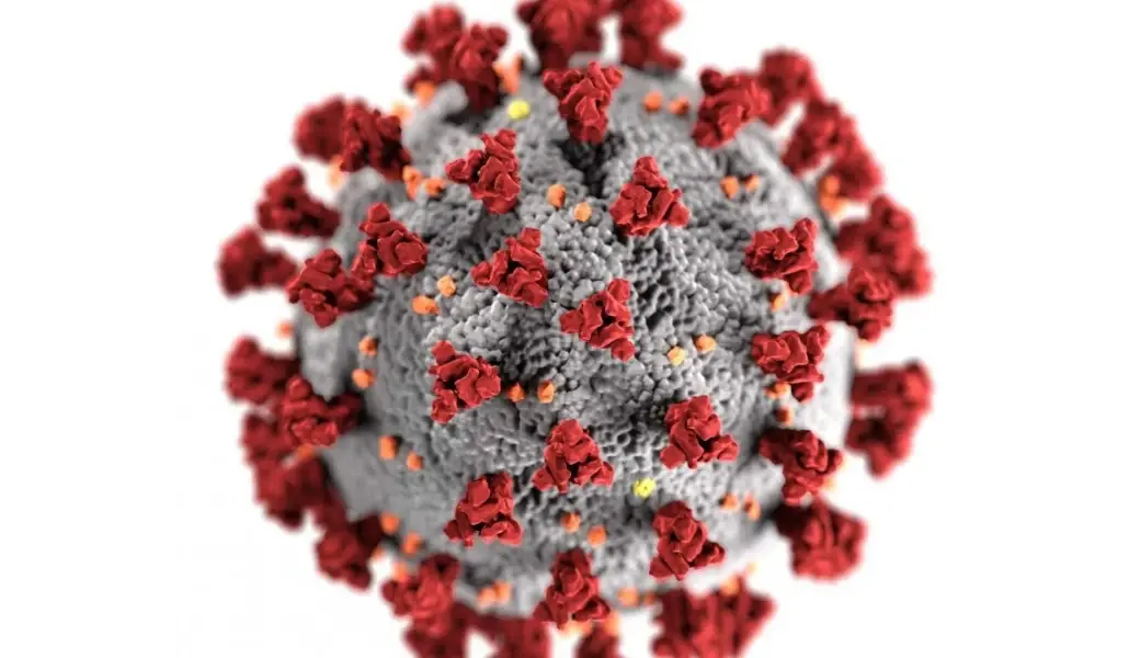 KalEaKaIGv1PZuPU37GuIpa1B8S4801lxZVbIMd1