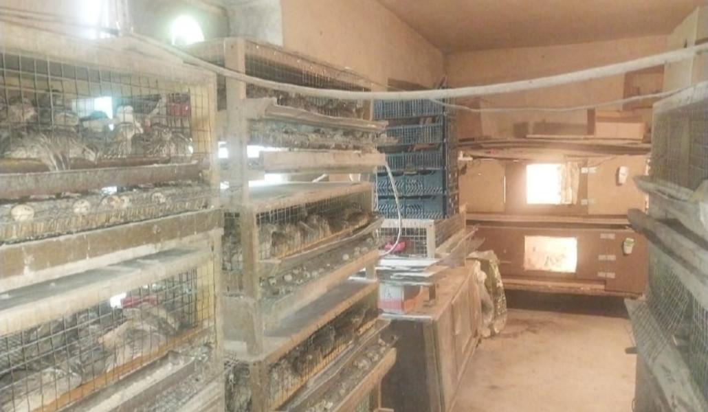 506849690_1123860053111712_4366732489981188578_n