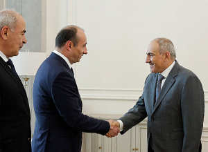 Վարչապետն ընդունել է Վրաստանի ՆԳ նախարարին