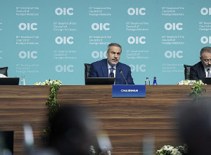 Հայաստանին առնչվող դատապարտելի դրույթներն Իսլամական համագործակցության կազմակերպության հռչակագրում