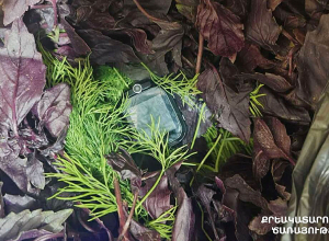 «Սևան» քրեակատարողական հիմնարկի ծառայողները կանաչու կապոցի միջից հայտնաբերել են թաքցված սմարթ ժամացույց