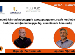 Քրեական ենթամշակույթը և արդարադատության համակարգի հանդեպ անվստահությունը. պատճառ և հետևանք. ՈՒՂԻՂ