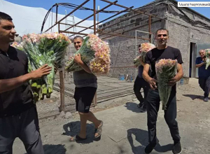 «Վարկով ջերմոցներ ենք ստեղծել, հիմա չգիտենք՝ ինչ է գալու մեր գլխին»․ ծաղկավաճառներ