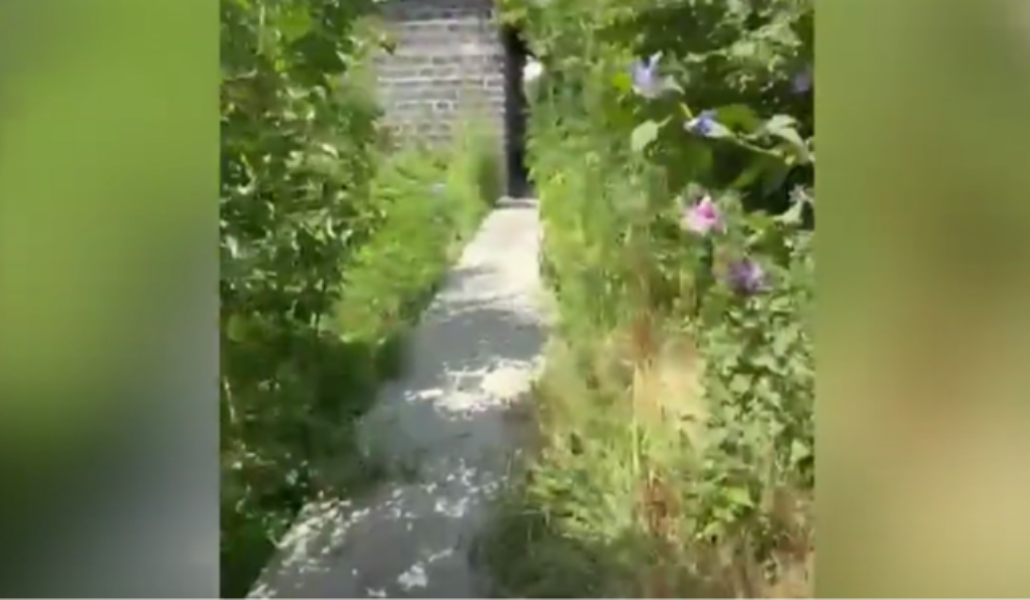 Screenshot 2025-07-11 150453