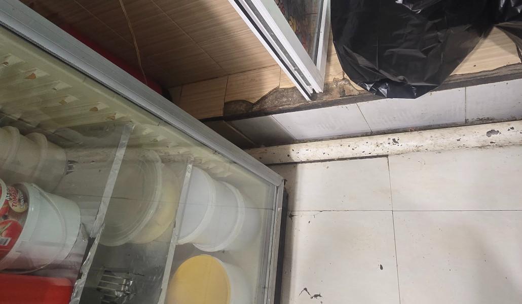 518188662_1147051947459189_7180827324098847341_n