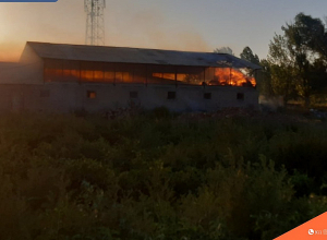 Հրդեհ Գրիբոյեդով գյուղում