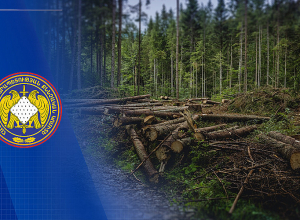 «Հայանտառ» ՊՈԱԿ-ի մասնաճյուղերից մեկի տնօրենը պետությանը պատճառել է առանձնապես խոշոր չափերով վնաս