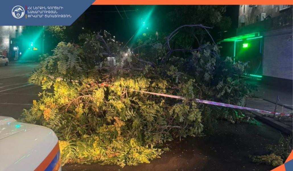 ՀՀ ՆԵՐՔԻՆ ԳՈՐԾԵՐԻ ՆԱԽԱՐԱՐՈՒԹՅԱՆ ՓՐԿԱՐԱՐ ԾԱՌԱՅՈՒԹՅՈՒՆ (4)