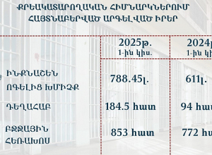 Ավելացել է արգելված իրերի հայտնաբերման դեպքերի թիվը քրեակատարողական հիմնարկներում