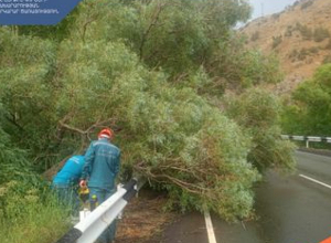 Երևան-Մեղրի ավտոճանապարհին ծառը կոտրվել և ընկել է երթևեկելի հատված