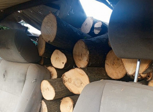 Վարորդը փայտանյութի օրինականությունը հավաստող փաստաթուղթ չի ներկայացրել