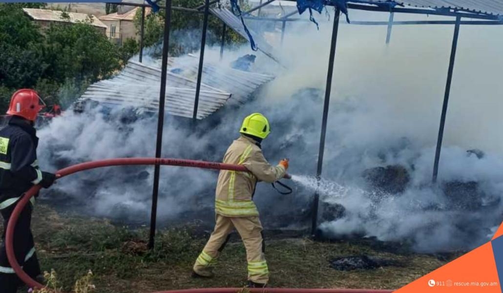 photo_2025-08-16_18-04-15