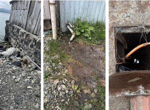 Ապօրինի ջրառ և սեպտիկ հորերի խախտումներ Սևանա լճի տարածքում