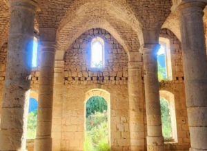 Թուրքիայում պահանջում են վերականգնել հայկական կիսակառույց եկեղեցին. Ermenihaber