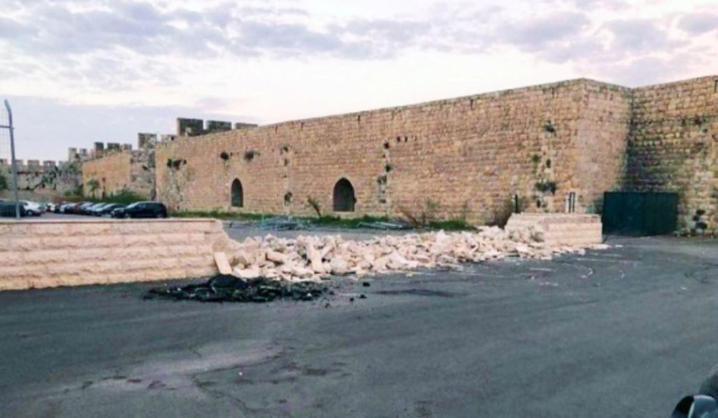 Կովերի այգի