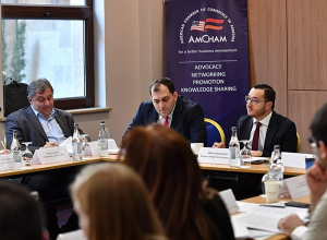 Քննարկվել է ԱԺ ներկայացված «Կիբեռանվտանգության մասին» և հարակից օրենքների նախագծերի փաթեթը