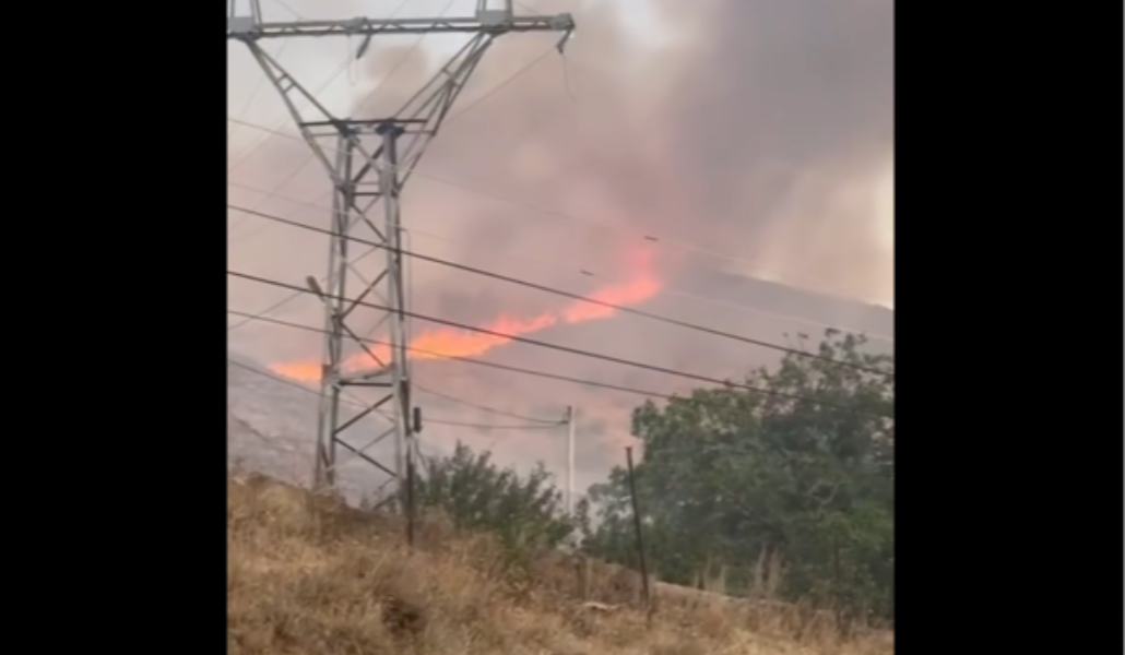 Screenshot 2025-08-31 222645