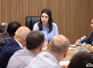 Պետությանը պատճառված նյութական վնասը կազմել է շուրջ 3 մլրդ 439 մլն դրամ. ՆԳ նախարարը խորհրդակցություն է անցկացրել