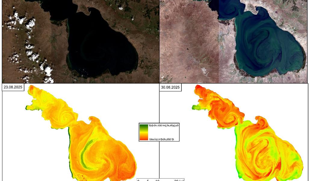 541428721_1116362074018494_3252923804325470543_n