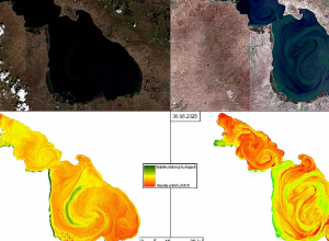 Սևանա լճի ջրիմուռների ծաղկման ընթացքի արբանյակային վերլուծությունը