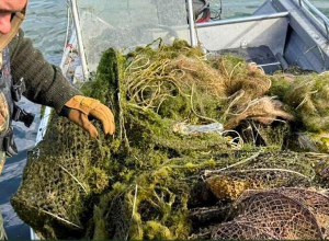 Հայտնաբերվել է ապօրինի 590 խեցգետնաորսիչ և 18 ձկնորսական ցանց