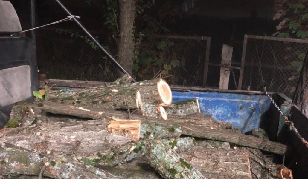 550683077_1209520111203212_6272827512148868681_n