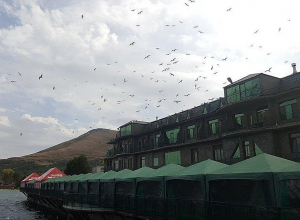 «Սեմոյի մոտ» ռեստորանը շտկել է խախտումները