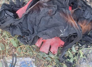 Մերձավանում տեղի ունեցած սպանության դեպքով ձերբակալվել է 1 անձ․ ՔԿ