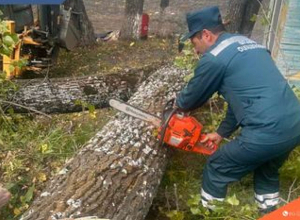 Սևանի թերակղզուց Ծովագյուղ գնացող ճանապարհի երթևեկելի մասում ծառ է ընկել՝ միակողմանի փակելով ճանապարհը