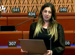 Հայ պատվիրակը հիշեցրեց Ալիեւի նարատիվները