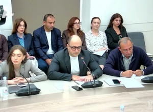 Հայկ Մամիջանյանը ներկայացնում է Նիկոլ Փաշինյանի իմպիչմենթի հայտարարությունը