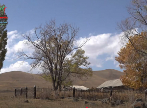 «Անասնագլխաքանակը կրճատվել է 4 անգամ՝ ջրի և խոտի բացակայության պատճառով»․ Ամասիայի բնակիչ