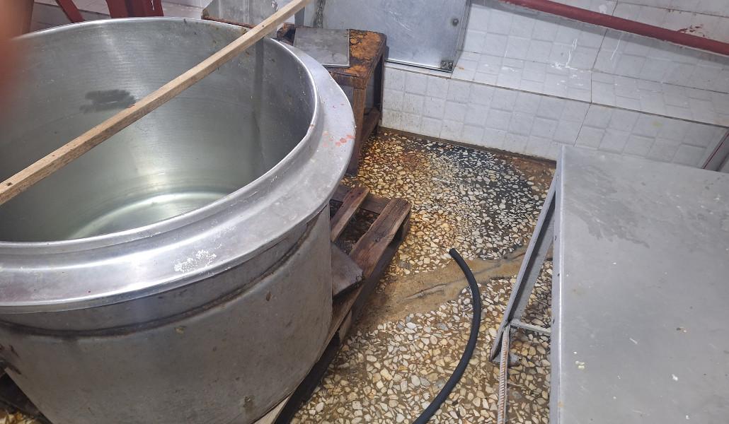 568206735_1233757322121984_8723195429675837715_n