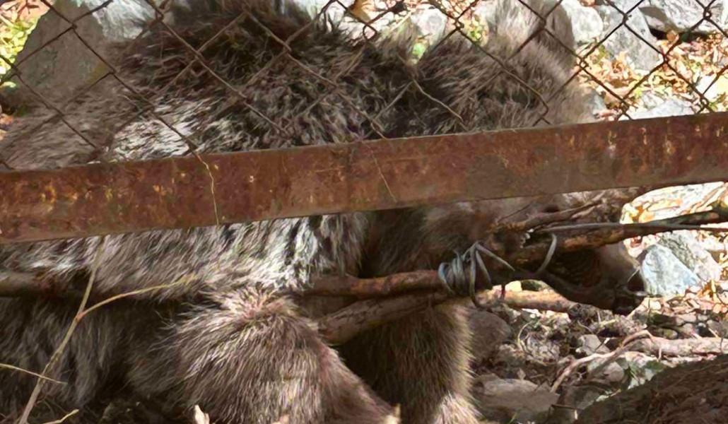 573054895_1297930132364005_4789882407689215846_n