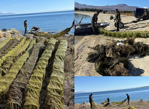 Սևանա լճից դուրս է բերվել ապօրինի տեղադրված 346 հատ խեցգետնաորսիչ և 90 հատ ձկնորսական ցանց