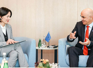 Ժաննա Անդրեասյանը ԵԽ գլխավոր քարտուղար Ալեն Բերսեի հետ քննարկել է համագործակցության ընդլայնման հնարավորությունները