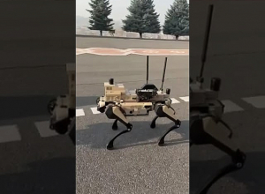 Մեր զինվորների նոր բարեկամը. Փաշինյանը տեսանյութ է հրապարակել